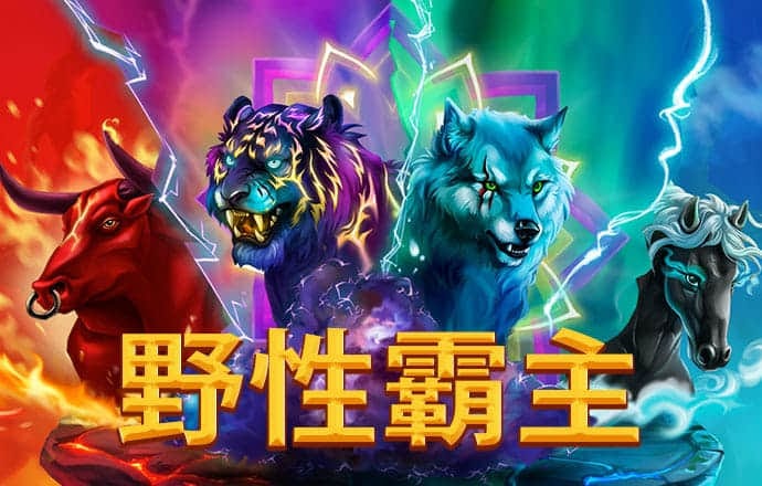 自行车大赛